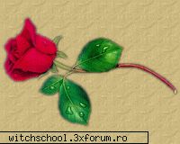 ti-a iesit foarte bine! despre will